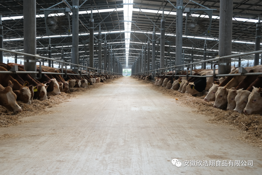 1705377039144223.png 微信圖片_20240116115001.png